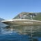 Gig Harbor Supra's Profile