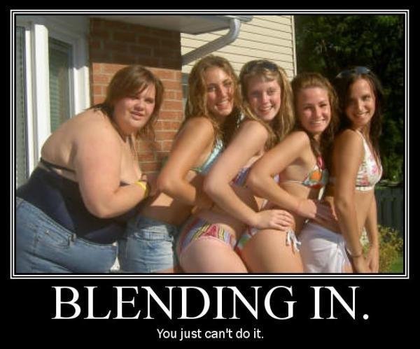 Name:  blending in.jpg
Views: 27413
Size:  50.1 KB